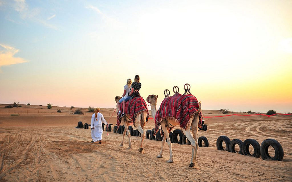ركوب الجمال في صحراء دبي