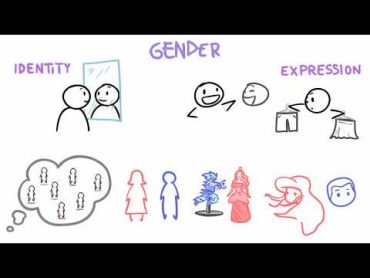 Sex vs Gender vs Orientation