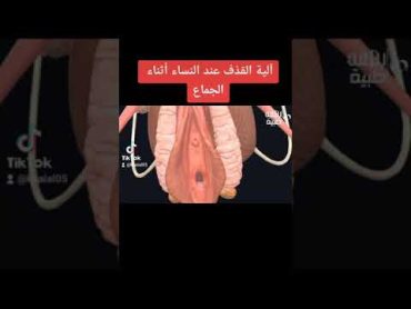 ٦٠ ثانيه شاهد آلية القذف عند النساء أثناء الجماع tiktok video, female ejaculation