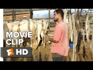 Neon Bull Movie CLIP  Tails (2016)  Juliano Cazarré, Maeve Jinkings Drama HD