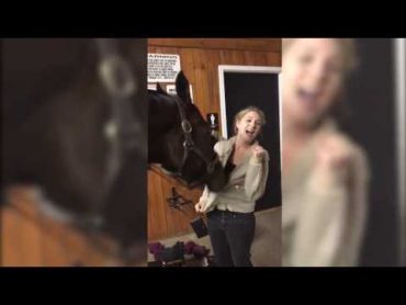 Horse Plays with Girl&39;s Hoodie