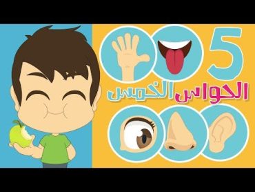 تعلم الحواس الخمس مع زكريا  الحواس الخمس للاطفال باللغة العربية  تعليم الحواس الخمس بطريقة سهلة