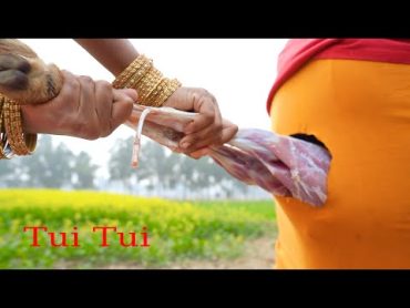 Tui Tui Unlimited  Comedy Video😂Tui tui Best Funny Video 2022😂Special New Video