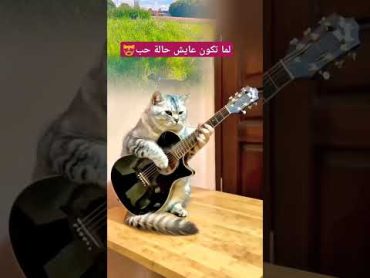 لما يكون القط عندك عشقان.. لاتنسونا بالاشتراك. comedy cats family